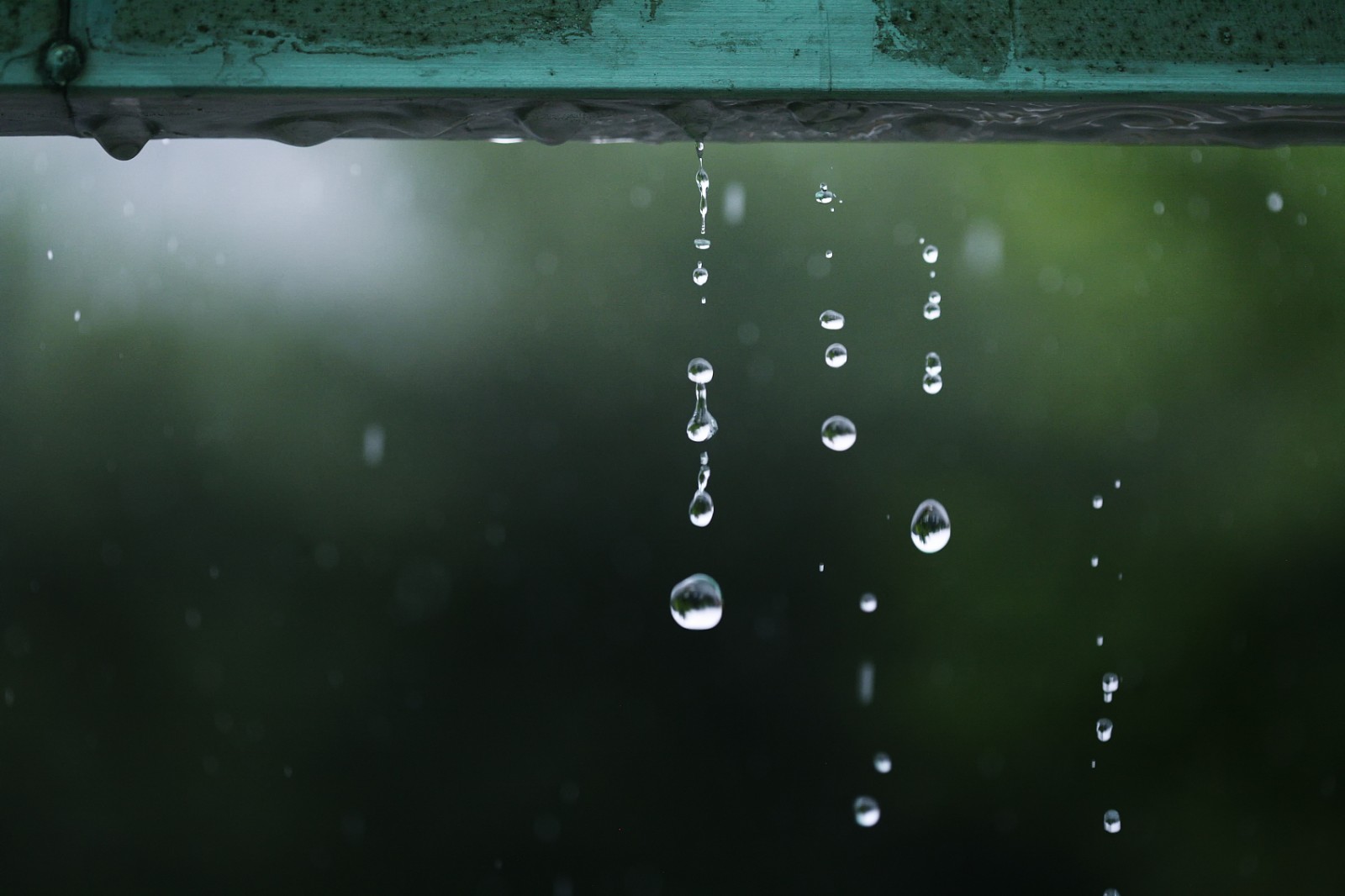 员工征文欣赏《为什么喜欢雨天》运营服务部 毛腊