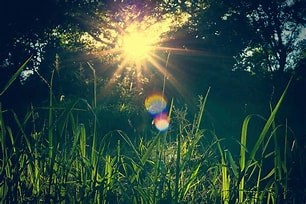 员工征文欣赏《夏日回望》经营管理部 罗文怡